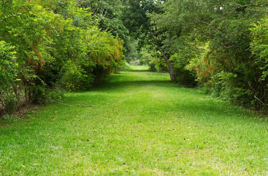 kleine tot middelgrote tuin