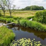 Zitmaaier kopen zuid-holland