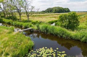 Zitmaaier kopen zuid-holland