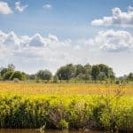 zitmaaier kopen drenthe