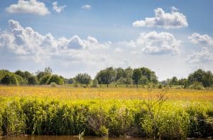 zitmaaier kopen drenthe